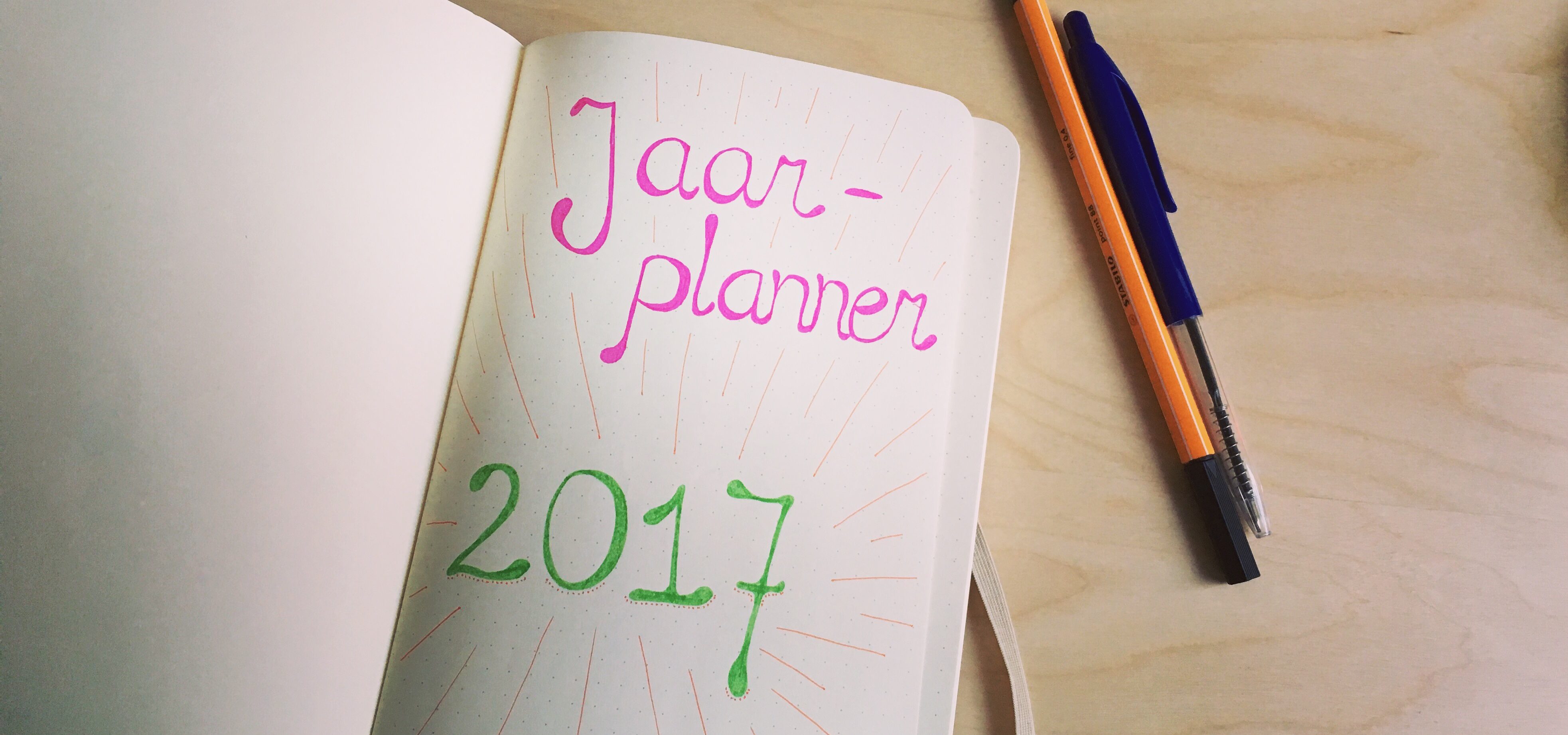 Bullet journal: mijn ideale jaarplanner - Flourish like a Tree