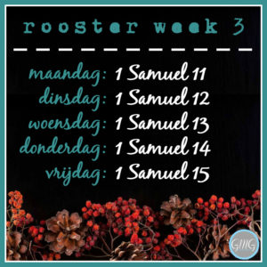 rooster 1 Samuel week 03